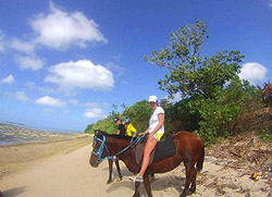 Horse Riding in Vavau 