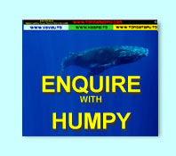 Enquire using our Tonagamazing.com Booking Service - Humpy